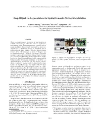 Deep Object Co-Segmentation Via Spatial-Semantic Network Modulation