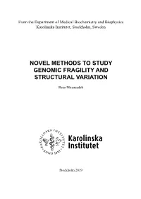 Novel Methods to Study Genomic Fragility and Structural Variation