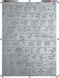 Writing Systems • 1 1 Writing Systems Andrew Robinson