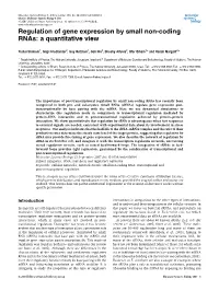 Regulation of Gene Expression by Small Non-Coding Rnas: a Quantitative View