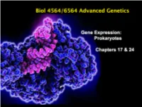 Gene Expression Prokaryotes