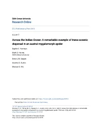 A Remarkable Example of Trans-Oceanic Dispersal in an Austral Mygalomorph Spider