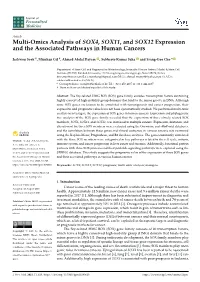 Multi-Omics Analysis of SOX4, SOX11, and SOX12 Expression and the Associated Pathways in Human Cancers