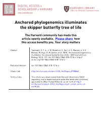 Anchored Phylogenomics Illuminates the Skipper Butterfly Tree of Life
