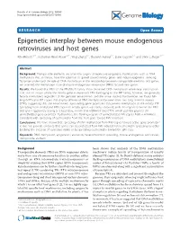 Epigenetic Interplay Between Mouse Endogenous
