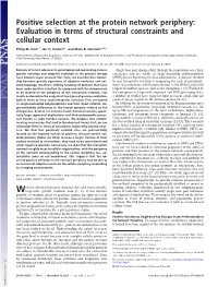 Positive Selection at the Protein Network Periphery: Evaluation in Terms of Structural Constraints and Cellular Context