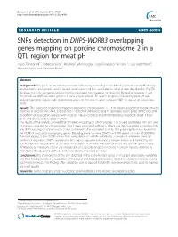 Snps Detection in DHPS-WDR83 Overlapping Genes Mapping On