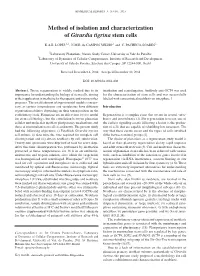 Method of Isolation and Characterization of Girardia Tigrina Stem Cells