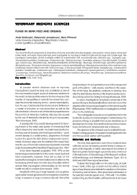 Fungi in Mink Feed and Organs
