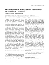 The Intramandibular Joint in Girella: a Mechanism for Increased Force Production?