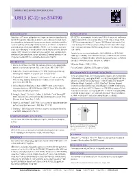UBL3 (C-2): Sc-514190