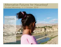 Alternative Futures for Hasankeyf Student Workshop, 5-12 October 2010
