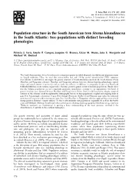 Population Structure in the South American Tern Sterna Hirundinacea in the South Atlantic: Two Populations with Distinct Breeding Phenologies
