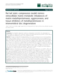 Rat Tail Static Compression Model Mimics