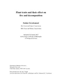 Plant Traits and Their Effect on Fire and Decomposition