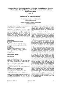 Comparison of Some Interesting Molluscs, Trawled by the Belgian Fishery in the Bay of Biscay, with Similar Representatives from Adjacent Waters: Part III