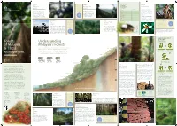 MTC Forest Map FA