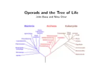 Operads and the Tree of Life