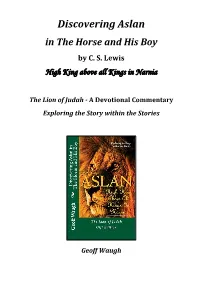 Discovering Aslan in the Horse and His Boy by C