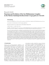 Function and Evolution of the Sox Multienzyme Complex in the Marine Gammaproteobacterium Congregibacter Litoralis