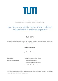 New Process Strategies for the Sustainable Production and Purification of Functional Terpenoids