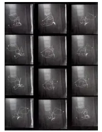 Calder and Sound