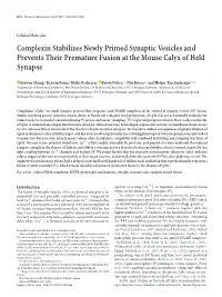 Complexin Stabilizes Newly Primed Synaptic Vesicles and Prevents Their Premature Fusion at the Mouse Calyx of Held Synapse