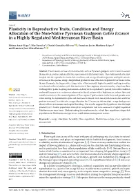 Plasticity in Reproductive Traits, Condition and Energy Allocation of the Non-Native Pyrenean Gudgeon Gobio Lozanoi in a Highly Regulated Mediterranean River Basin