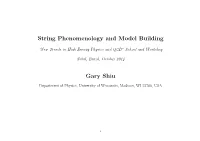 String Phenomenology and Model Building Gary Shiu