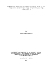 University of Florida Thesis Or Dissertation Formatting