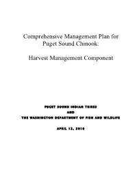 Comprehensive Management Plan for Puget Sound Chinook