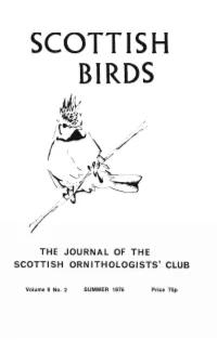 Scottish Birds