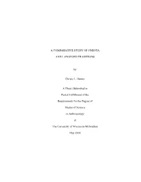 A Comparative Study of Oneota and Langford Traditions