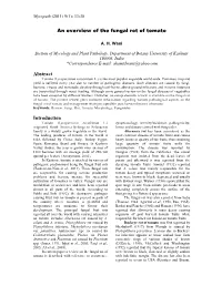 An Overview of the Fungal Rot of Tomato Abstract Introduction