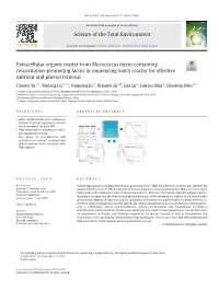 Extracellular Organic Matter from Micrococcus Luteus Containing Resuscitation-Promoting Factor in Sequencing Batch Reactor for Effective Nutrient and Phenol Removal