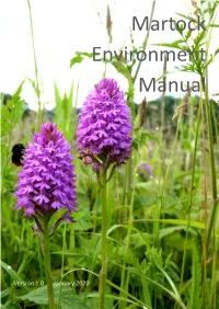 Martock Environment Manual