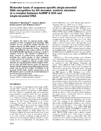 Molecular Basis of Sequence-Specific Single-Stranded DNA Recognition By