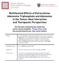 Multifaceted Effects of Extracellular Adenosine Triphosphate and Adenosine in the Tumor–Host Interaction and Therapeutic Perspectives