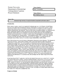 Purdue University Name of Student: Department of Entomology Sean Tormoehlen Undergraduate Capstone Project Summary Name of Mentor
