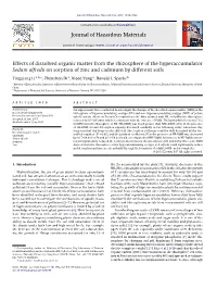 Effects of Dissolved Organic Matter from the Rhizosphere of the Hyperaccumulator