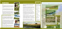 Fens for the Future Leaflet