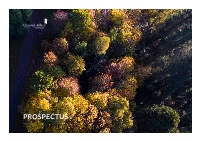 PROSPECTUS GLENSTAL PROSPECTUS a Benedictine Ethos Insists on the Acceptance of Every Element Within the Person and the Acceptance of Each Member of the Community