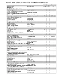 SMCSP & SMCSN Wildlife List.Xlsx