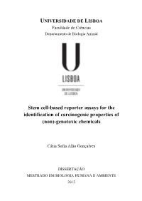 Stem Cell-Based Reporter Assays for the Identification of Carcinogenic Properties of (Non)-Genotoxic Chemicals