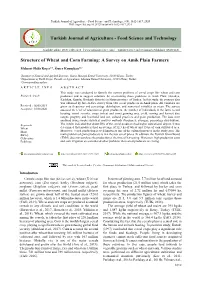 Structure of Wheat and Corn Farming: a Survey on Amik Plain Farmers