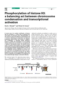 Phosphorylation of Histone H3: a Balancing Act Between Chromosome Condensation and Transcriptional Activation
