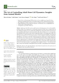 The Act of Controlling Adult Stem Cell Dynamics: Insights from Animal Models