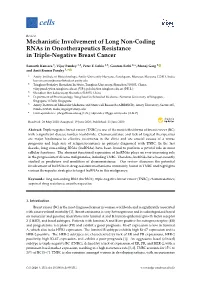 Mechanistic Involvement of Long Non-Coding Rnas in Oncotherapeutics Resistance in Triple-Negative Breast Cancer