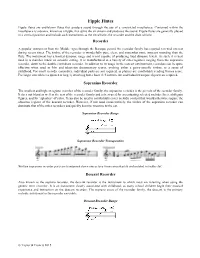 Fipple Flutes Fipple Flutes Are End-Blown Flutes That Produce Sound Through the Use of a Constricted Mouthpiece