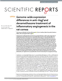 Genome-Wide Expression Differences in Anti-Vegf and Dexamethasone